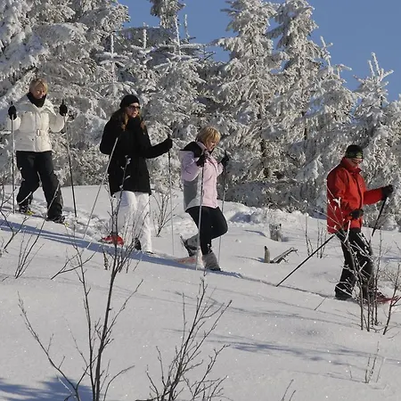 Im Fichtelgebirge 2 * Warmensteinach