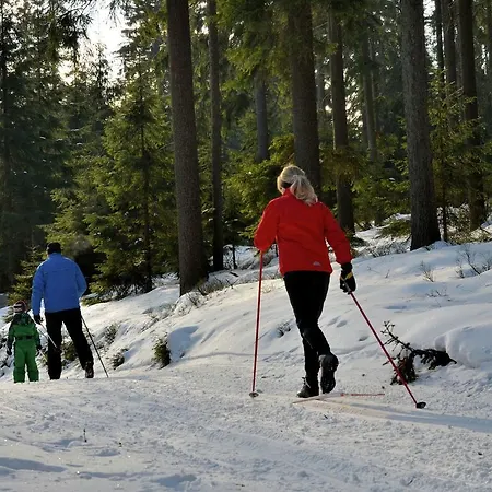 Apartmán Im Fichtelgebirge 2 *