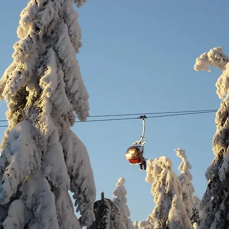 Im Fichtelgebirge 2 *